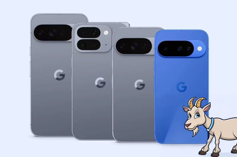 Con i Pixel 10 anche delle capre faranno belle foto!